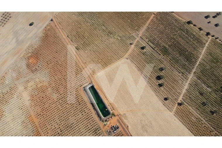 Terreno para Venda em Albernoa e Trindade Foto 14