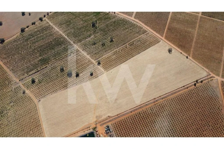 Terreno para Venda em Albernoa e Trindade Foto 12