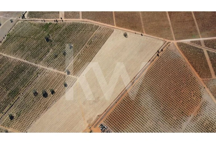 Terreno para Venda em Albernoa e Trindade Foto 11