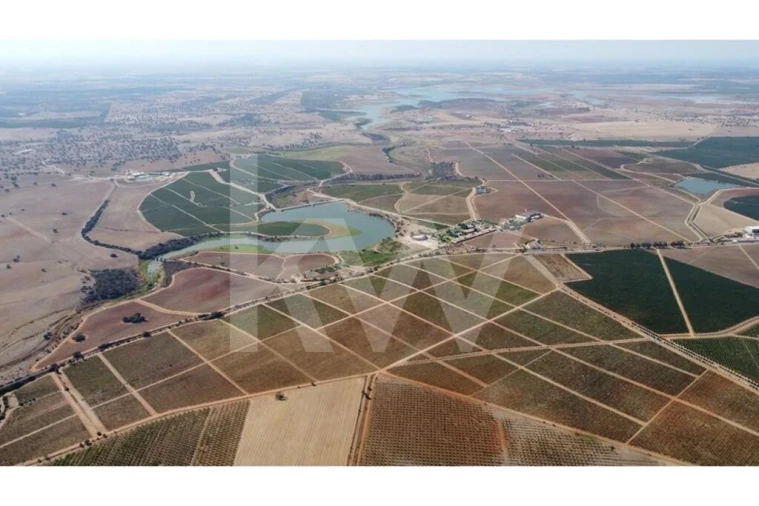 Terreno para Venda em Albernoa e Trindade Foto 6