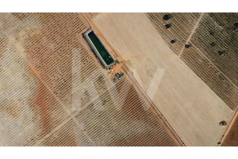 Terreno para Venda em Albernoa e Trindade Foto 17