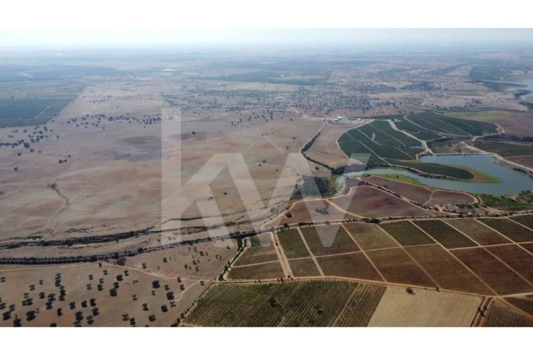 Terreno para Venda em Albernoa e Trindade Foto 5
