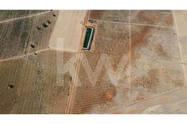 Terreno para Venda em Albernoa e Trindade Foto 3