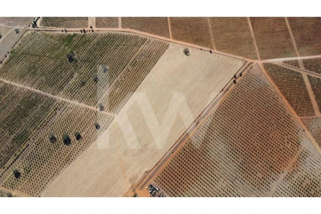 Terreno para Venda em Albernoa e Trindade Foto 11