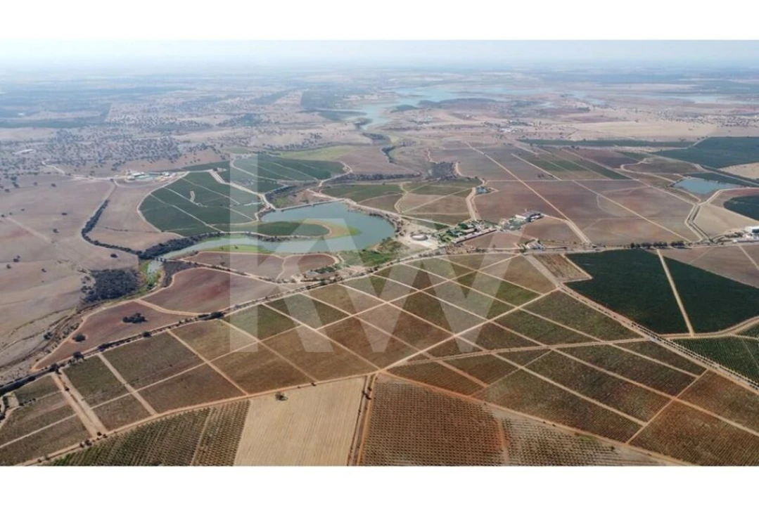 Terreno para Venda em Albernoa e Trindade Foto 6