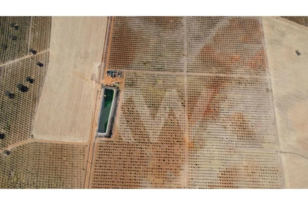 Terreno para Venda em Albernoa e Trindade Foto 8