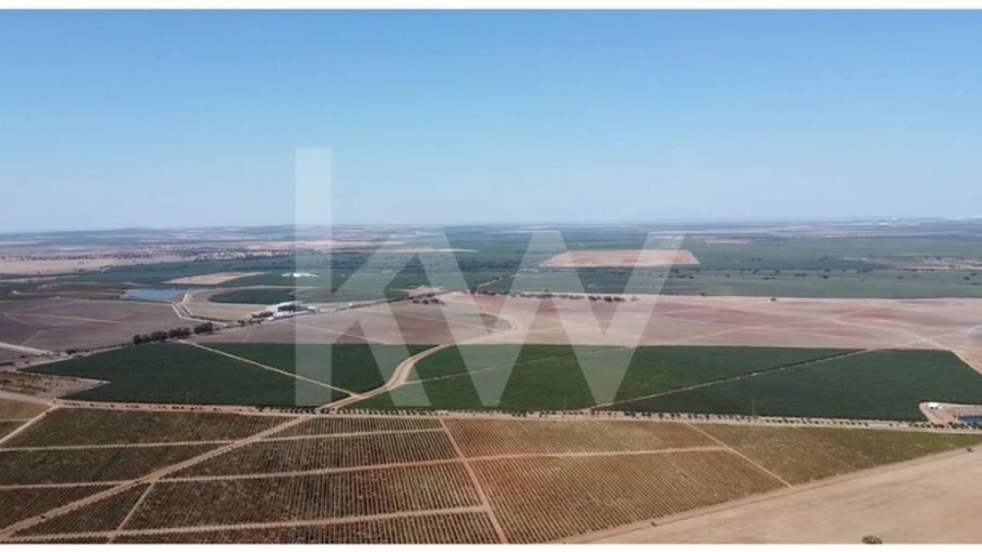 Terreno para Venda em Albernoa e Trindade