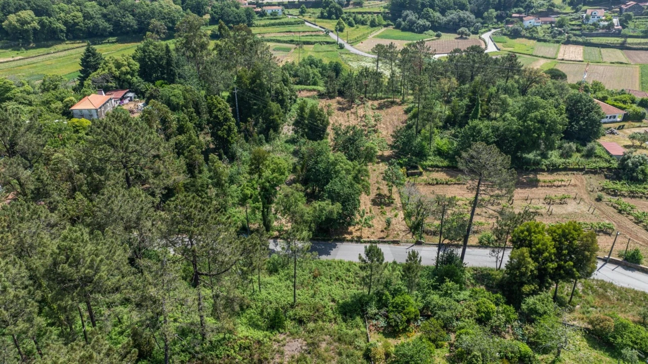Terreno para Venda em Gondar e Orbacém Foto 10