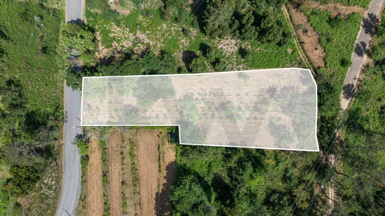 Terreno para Venda em Gondar e Orbacém Foto 5