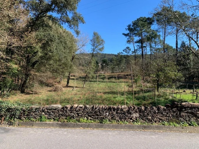 Terreno para Venda em Gondar e Orbacém Foto 3