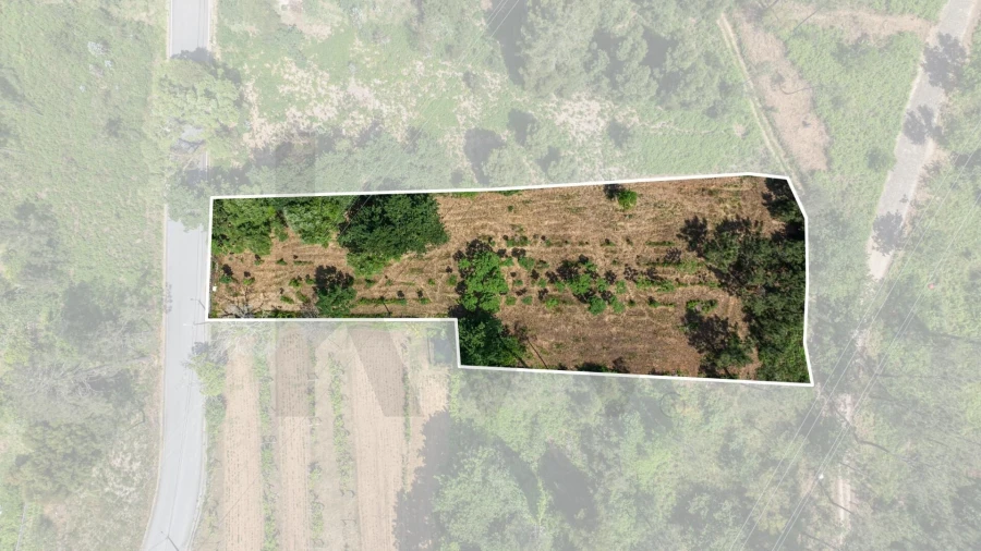 Terreno para Venda em Gondar e Orbacém Foto 6