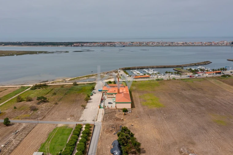 Negócio para Venda em Gafanha da Encarnação Foto 3