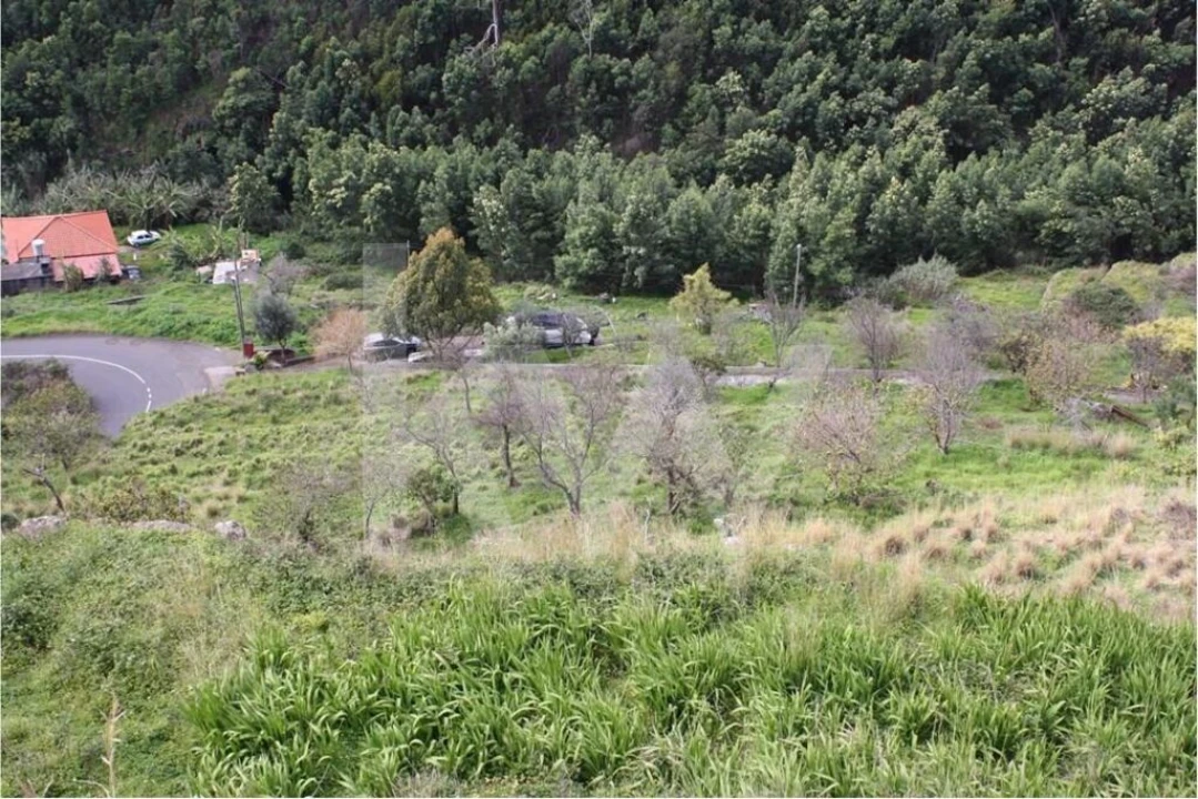 Terreno para Venda em Gaula Foto 3