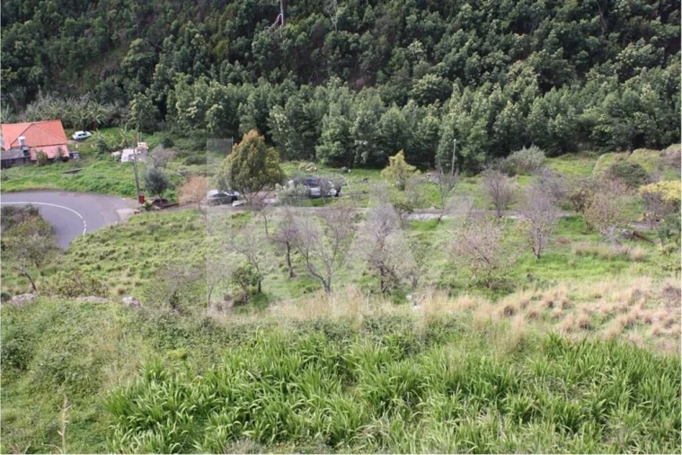 Terreno para Venda em Gaula Foto 3