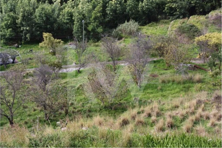 Terreno para Venda em Gaula Foto 6