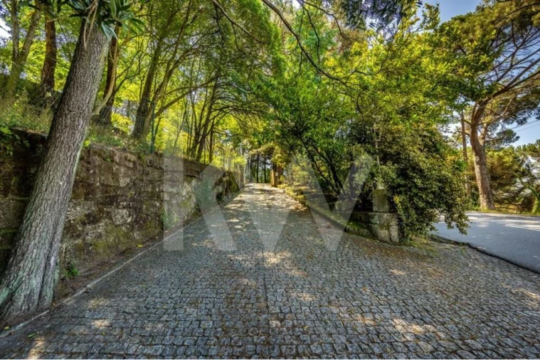 Moradia T6 para Venda em Alpendorada, Várzea e Torrão Foto 21