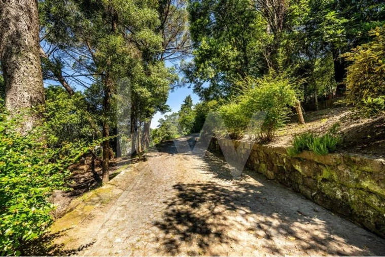 Moradia T6 para Venda em Alpendorada, Várzea e Torrão Foto 22