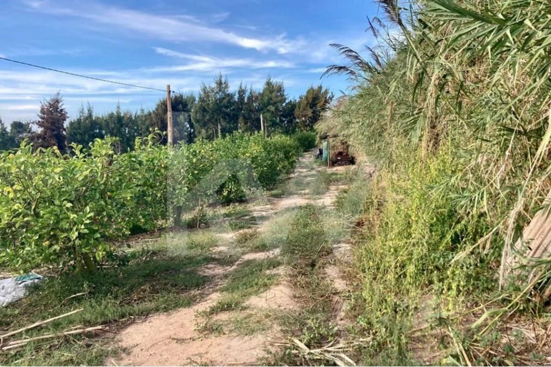 Terreno para Venda em Encarnação Foto 14