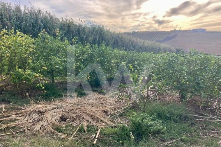 Terreno para Venda em Encarnação Foto 11