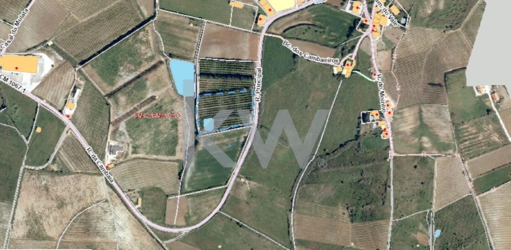 Terreno para Venda em Encarnação Foto 3