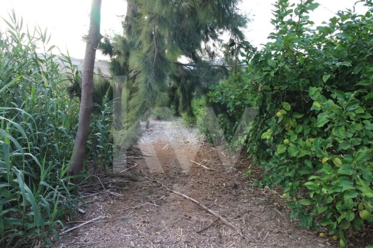 Terreno para Venda em Encarnação Foto 5