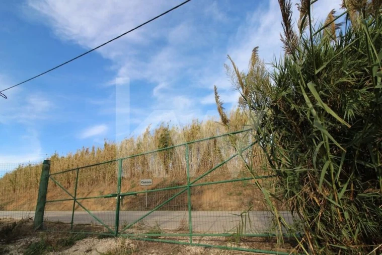Terreno para Venda em Encarnação Foto 9