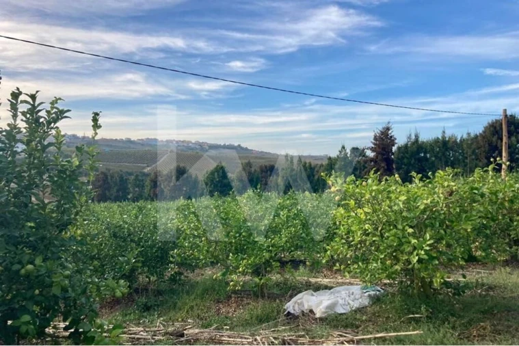 Terreno para Venda em Encarnação Foto 4