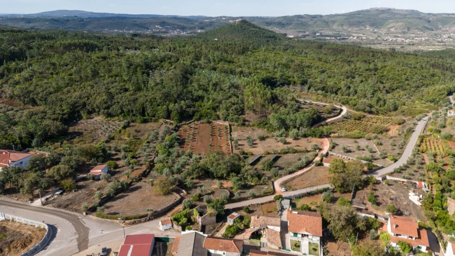 Terreno para Venda em São Miguel, Santa Eufémia e Rabaçal Foto 14