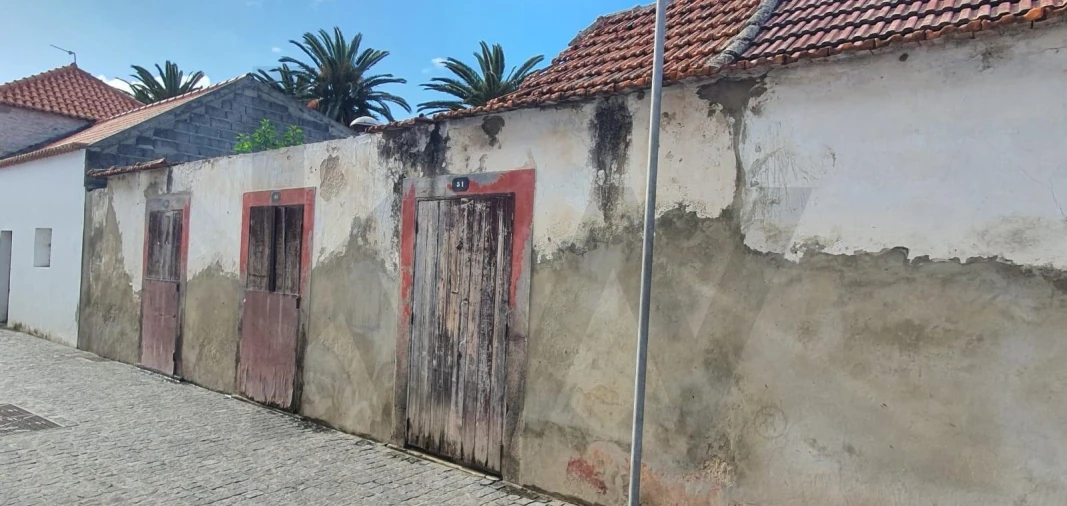 Prédio para Venda em Porto Santo Foto 12