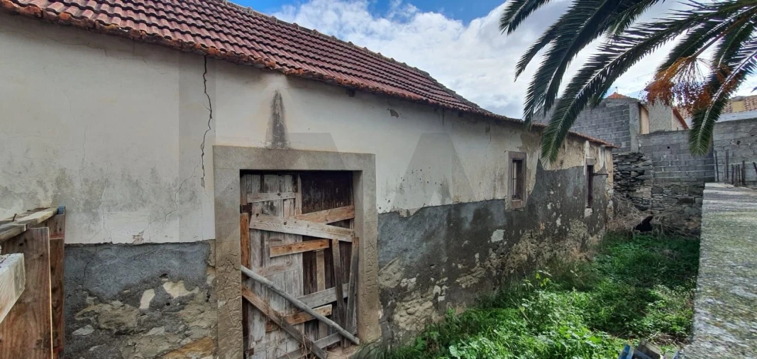 Prédio para Venda em Porto Santo Foto 3