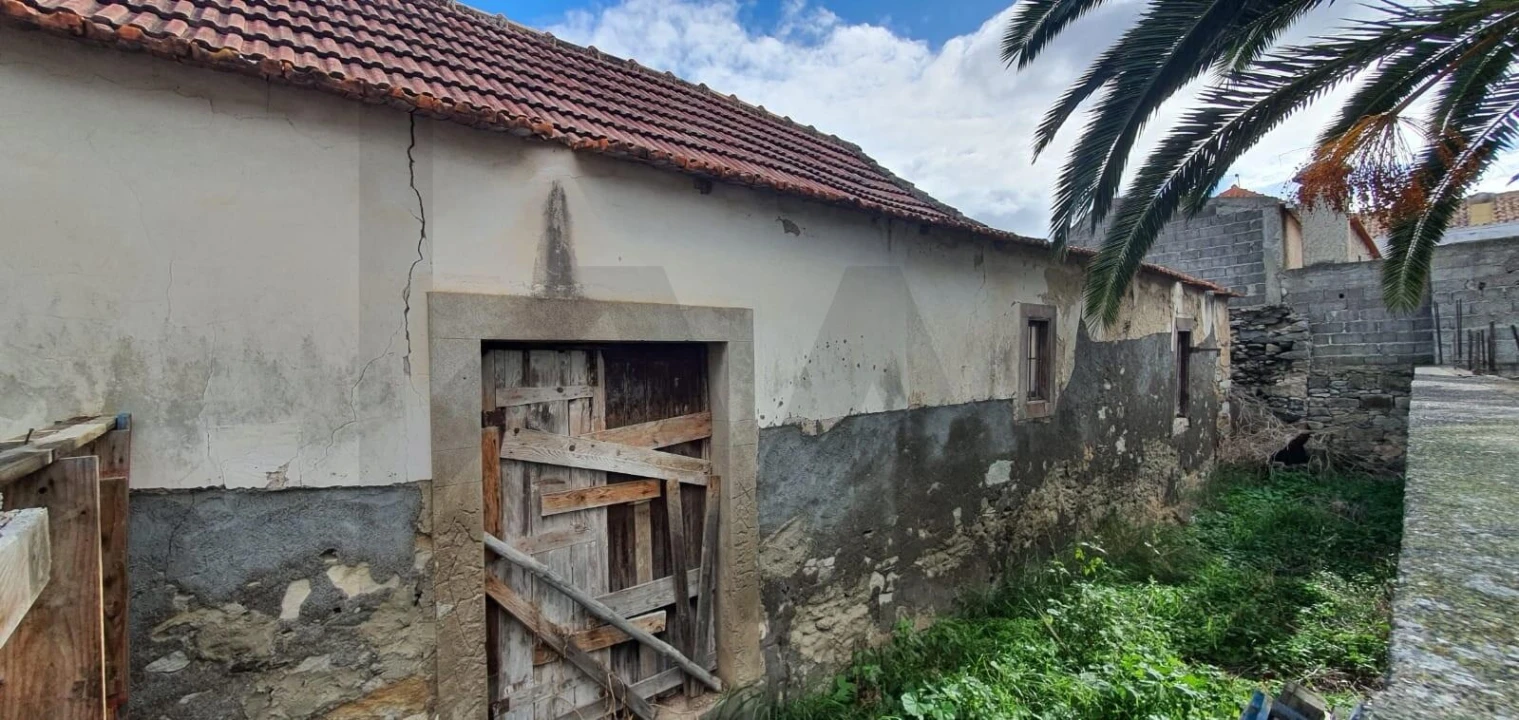 Prédio para Venda em Porto Santo Foto 3