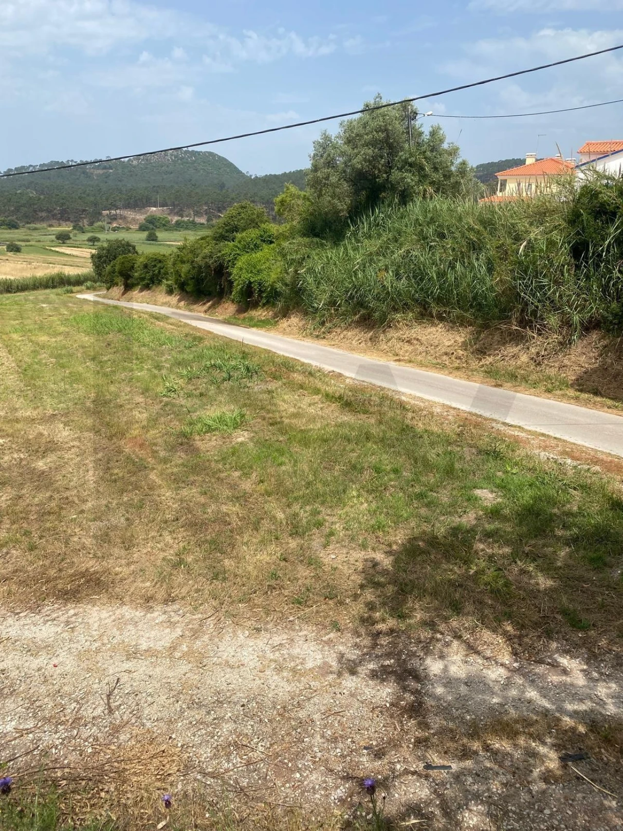 Terreno para Venda em Valado dos Frades Foto 8
