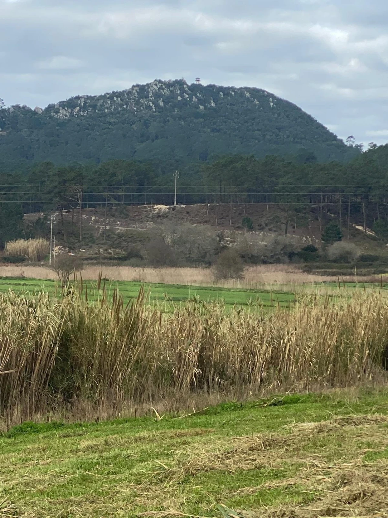 Terreno para Venda em Valado dos Frades Foto 15