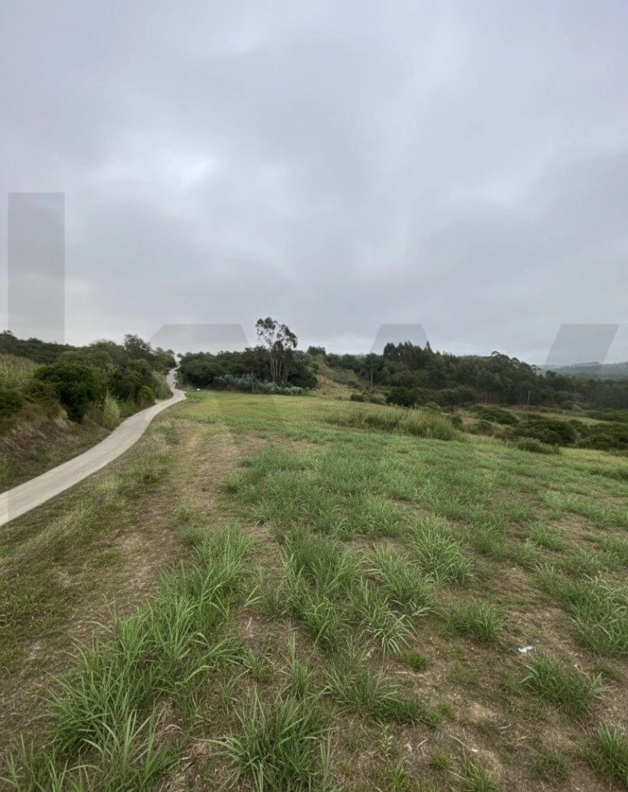 Terreno para Venda em Valado dos Frades Foto 2