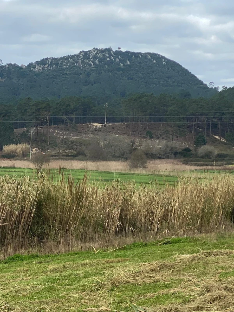 Terreno para Venda em Valado dos Frades Foto 15