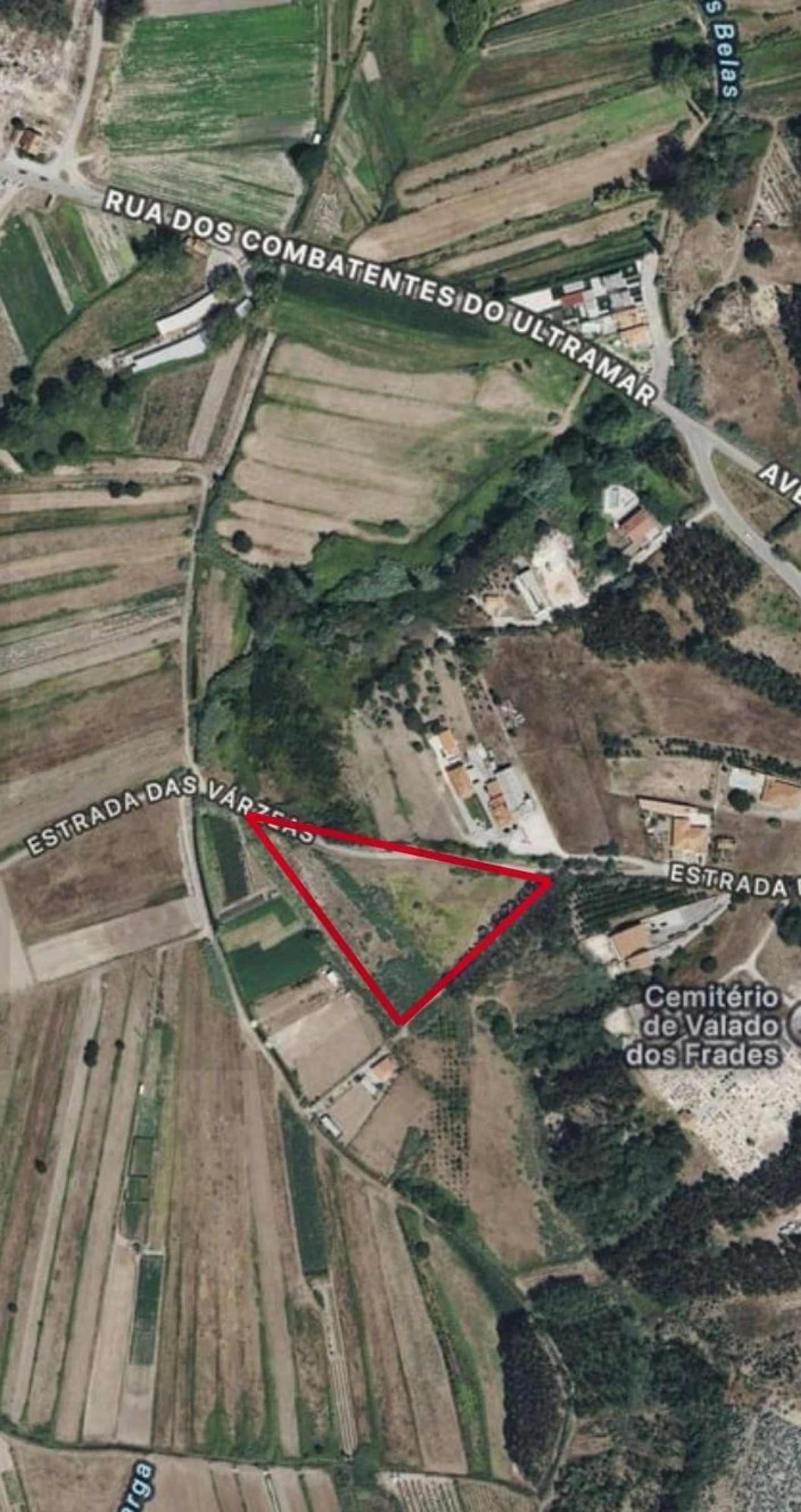 Terreno para Venda em Valado dos Frades Foto 6