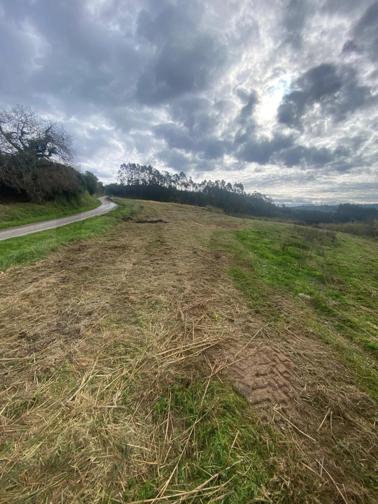 Terreno para Venda em Valado dos Frades Foto 12