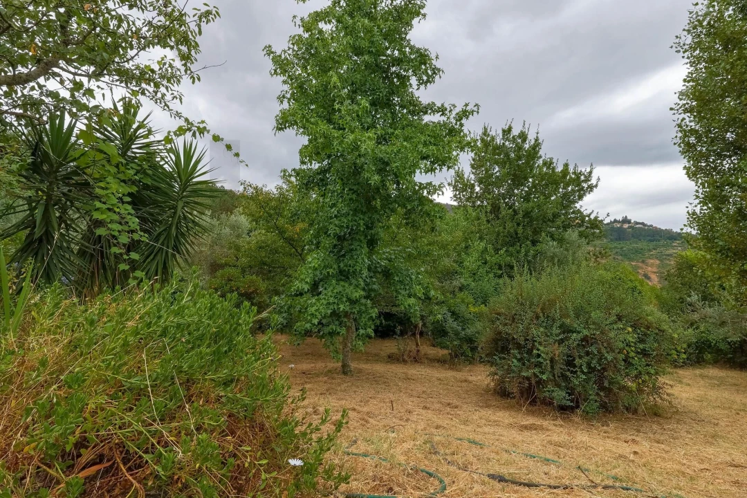 Quinta T3 para Venda em Freigil e Miomães Foto 28