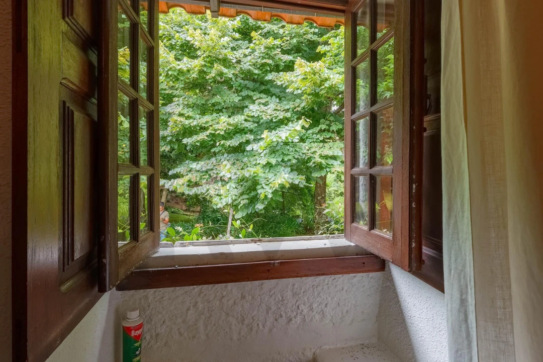 Quinta T3 para Venda em Freigil e Miomães Foto 10