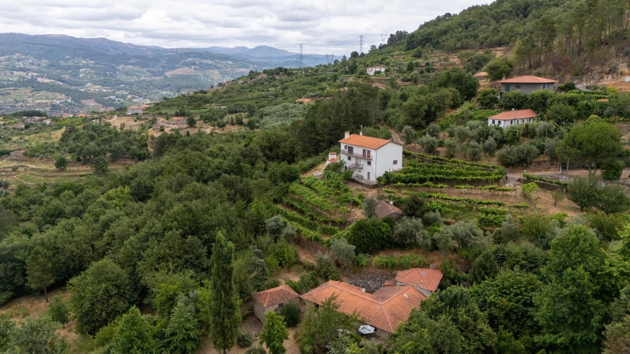 Quinta T3 para Venda em Freigil e Miomães Foto 48