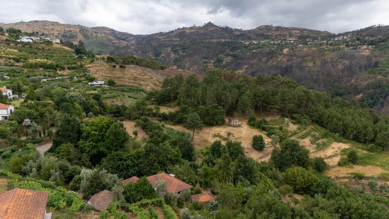 Quinta T3 para Venda em Freigil e Miomães Foto 52