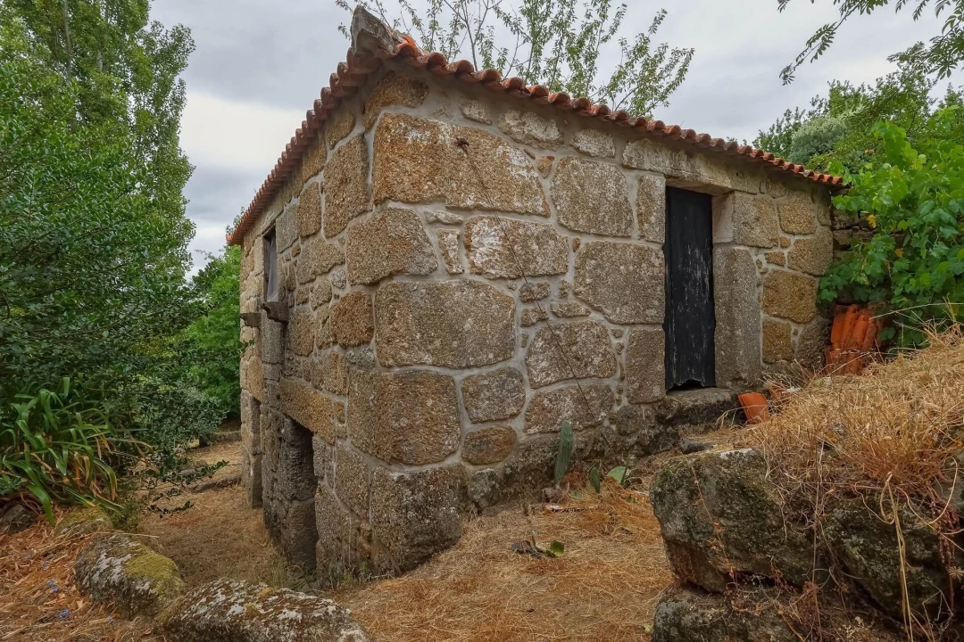 Quinta T3 para Venda em Freigil e Miomães Foto 27