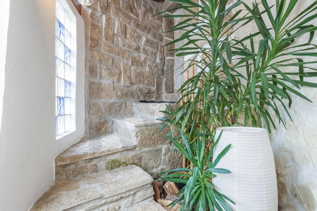 Quinta T3 para Venda em Freigil e Miomães Foto 18