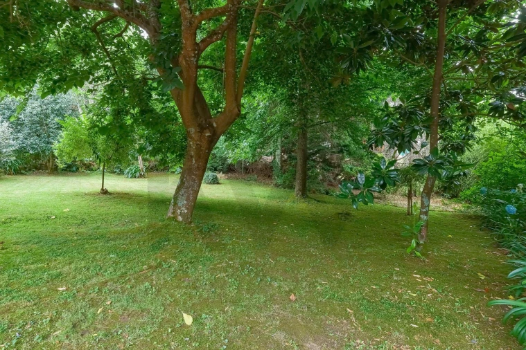 Quinta T3 para Venda em Freigil e Miomães Foto 29