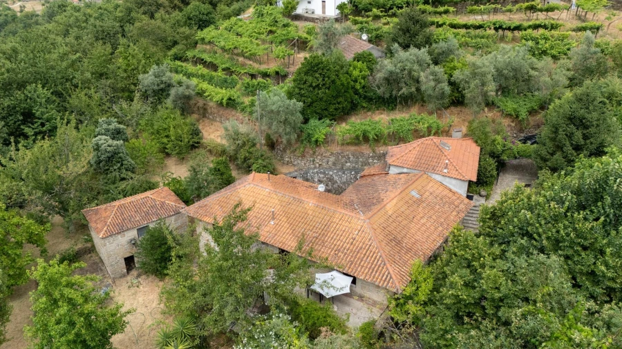 Quinta T3 para Venda em Freigil e Miomães Foto 34