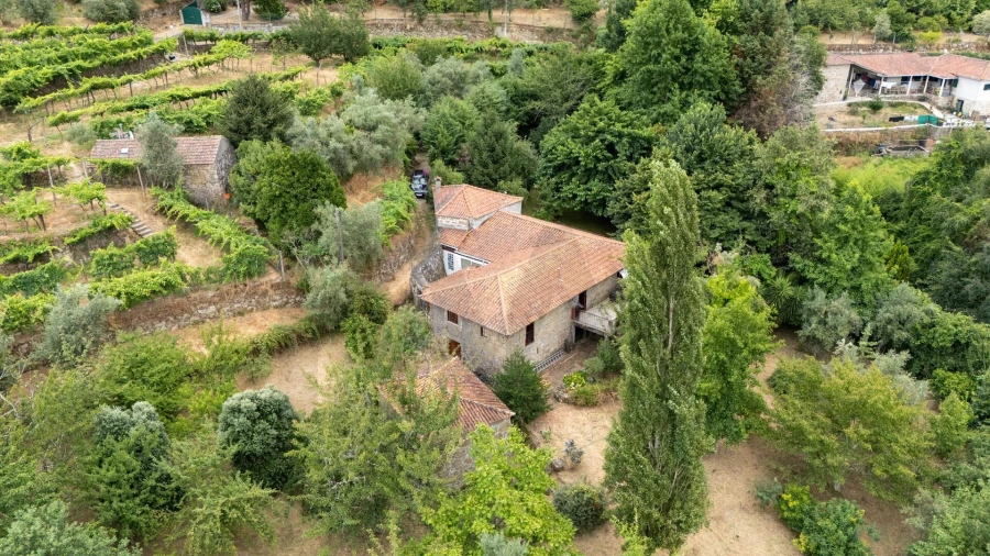 Quinta T3 para Venda em Freigil e Miomães Foto 44