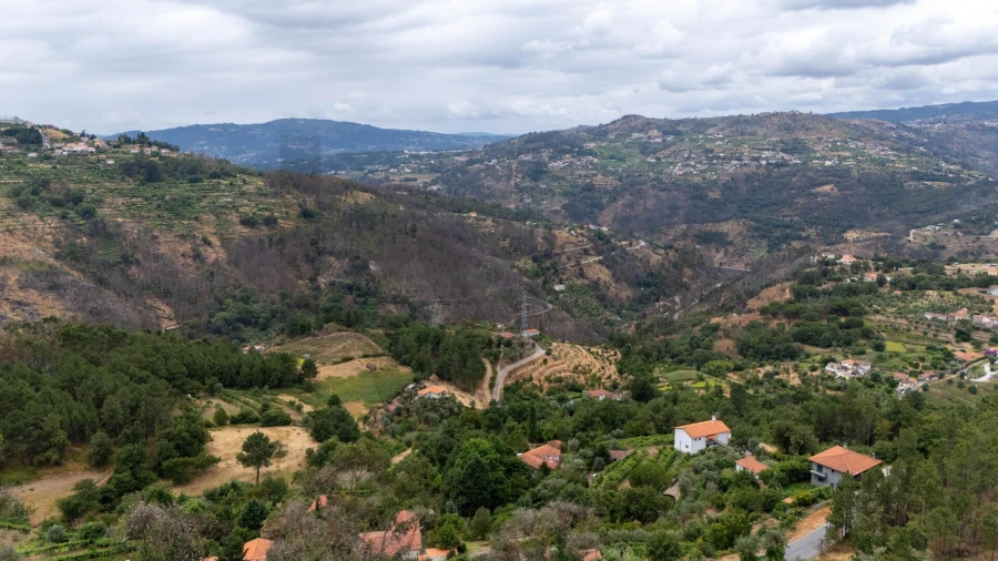 Quinta T3 para Venda em Freigil e Miomães Foto 39