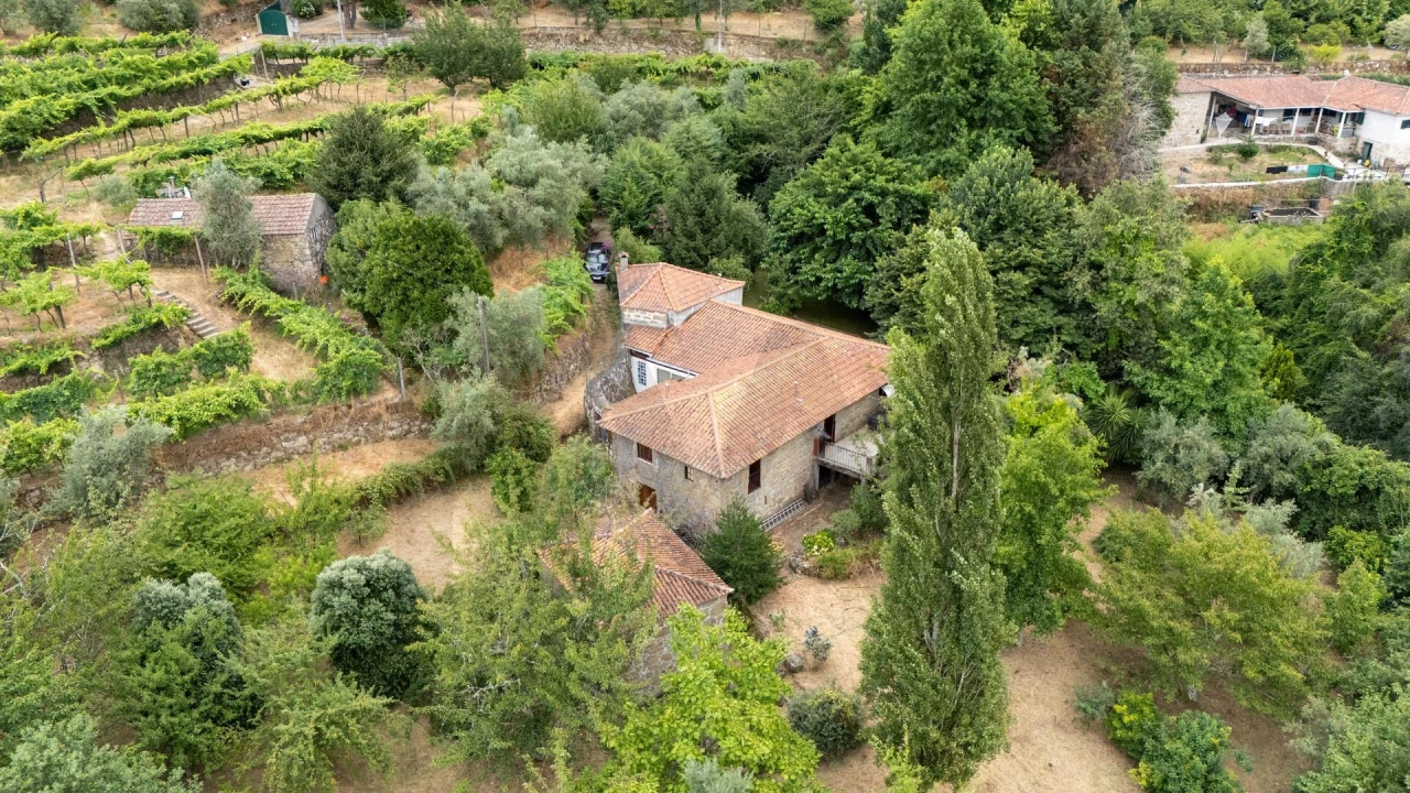 Quinta T3 para Venda em Freigil e Miomães Foto 44