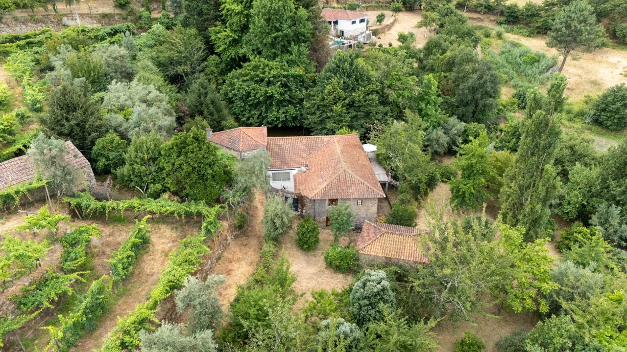 Quinta T3 para Venda em Freigil e Miomães Foto 54