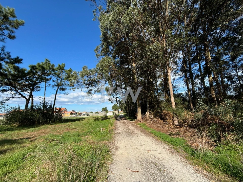 Terreno para Venda em Gafanha da Encarnação Foto 12